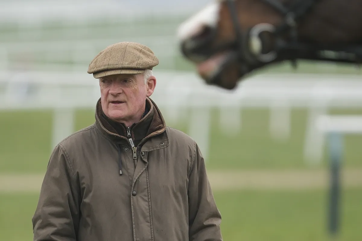 cheltenham races — GB news