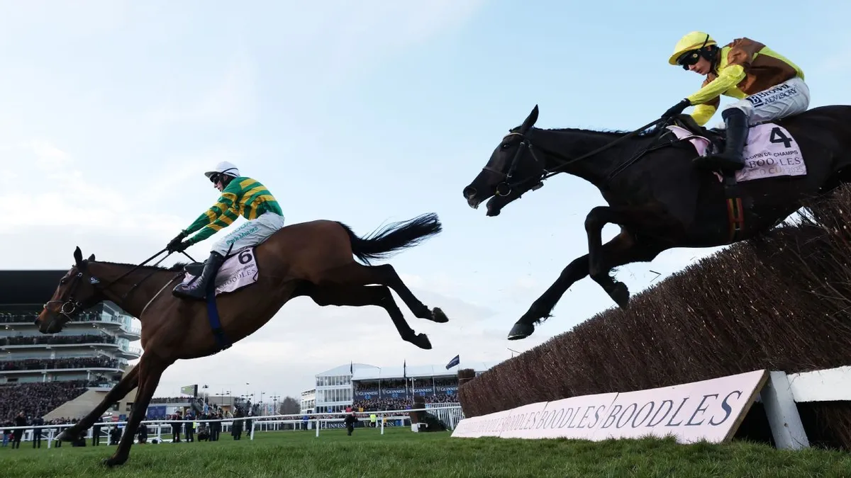 cheltenham results — GB news