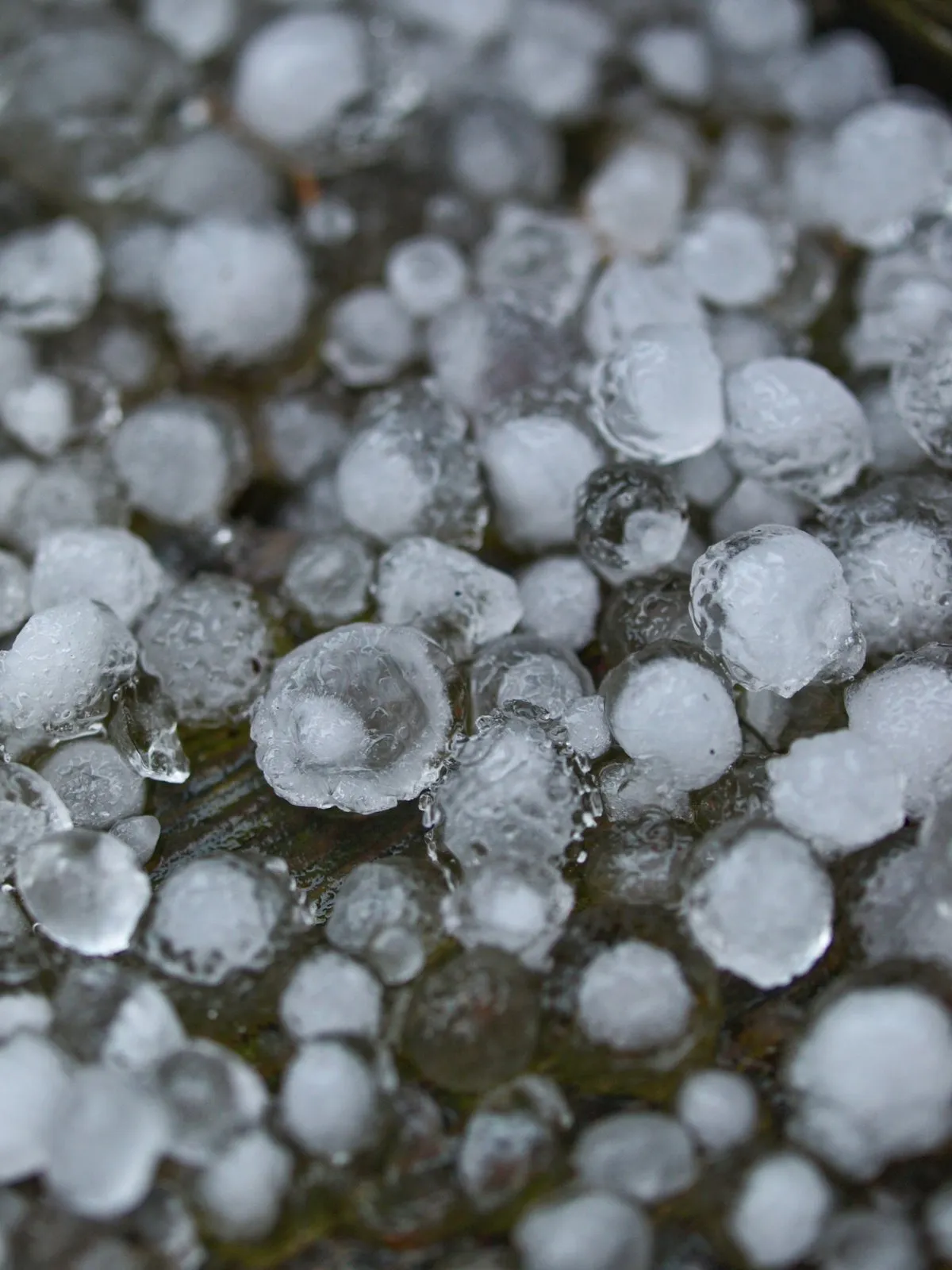 hailstones — GB news