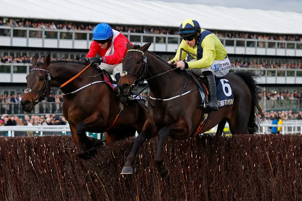 watch cheltenham races — GB news