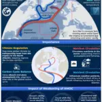 atlantic meridional overturning circulation — GB news