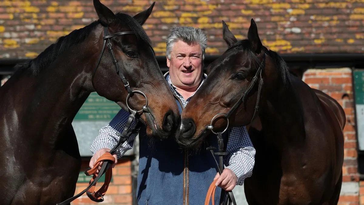 paul nicholls stable news — GB news