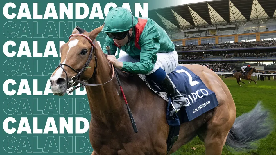 King George glory days are back and Ascot has Europe’s top racing prize in sight