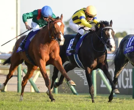 Calandagan, left, holds off Masquerade Ball, the runner-up, in the Japan Cup.